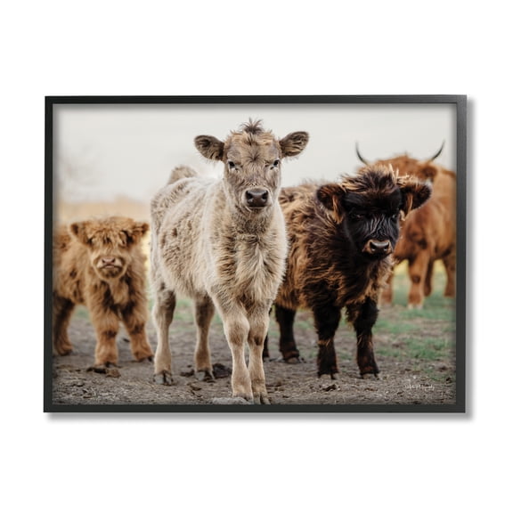 Stupell Industries Baby Calves on Farm Animals & Insects Photography Black Framed Art Print Wall Art, 14 x 11