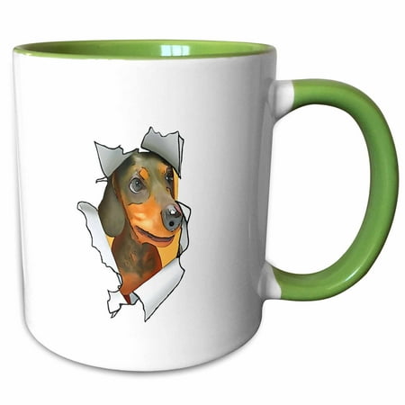 3drose Cartoon Style Dachschund Poking Its Head Through Ripped Paper 11oz Two-tone Green Mug