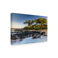 thumbnail image 2 of Trademark Fine Art 'Lava Falls' Canvas Art by Pierre Leclerc, 2 of 3