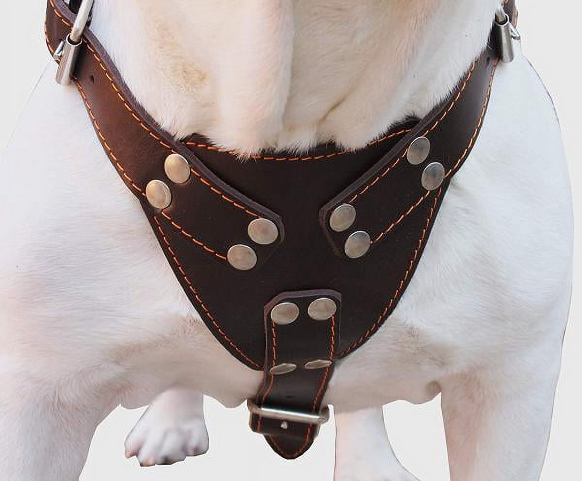Brown Genuine Leather Dog Harness Large. 30"-35" Chest, 1.5" Wide Straps Pitbull, Boxer, Rottweiler