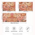 thumbnail image 2 of Yayeee Pillowcase Standard Size Set of 2 Satin Wrinkle Resistant Pillow Case, Abstract Orange Flowers, 2 of 8