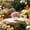 Pink, variant on Artificial Plants Simulation Potted Green Plant Home Office Decoration Faux Plant Tabletop Decor Living Room Hotel Shelf Window Sill Accent Display Interior Decoration