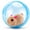 B1, variant on Self-Rolling Interactive Cat Ball,Automatic Moving Toy with 360° Random Spin, Realistic Prey Action for Indoor Cats & Small Dogs for Cats Dogs