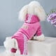 thumbnail image 5 of Ropa de terciopelo dorado para perros Suéter de cuatro patas Primavera y otoño Ropa para perros pequeños Ropa deportiva para perros siameses Ropa de cuatro patas para mascotas, 5 of 6