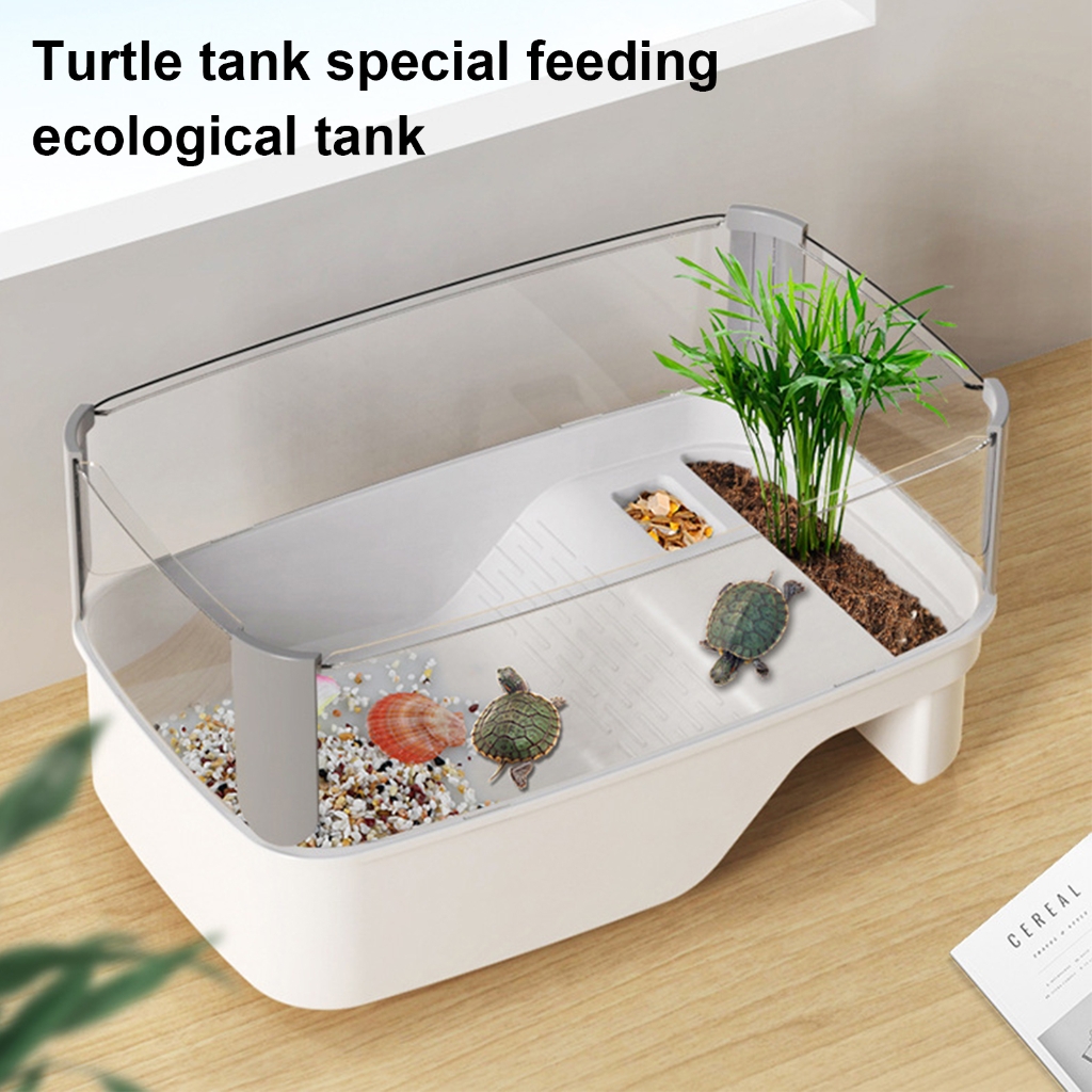 Turtles Tanks Turtles Feeding Box with Basking Platform Habitat House