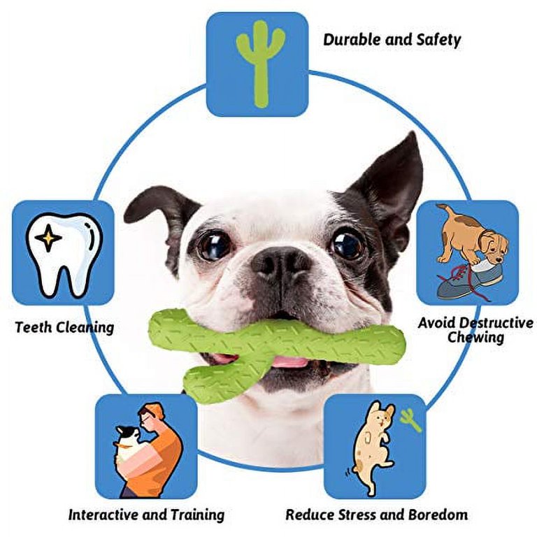 MARSDREAMS - Tough Pet Toy for Chewers - Flavored - Teeth Health