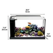 Fluval EVO V Saltwater Aquarium Kit, 5-Gallon