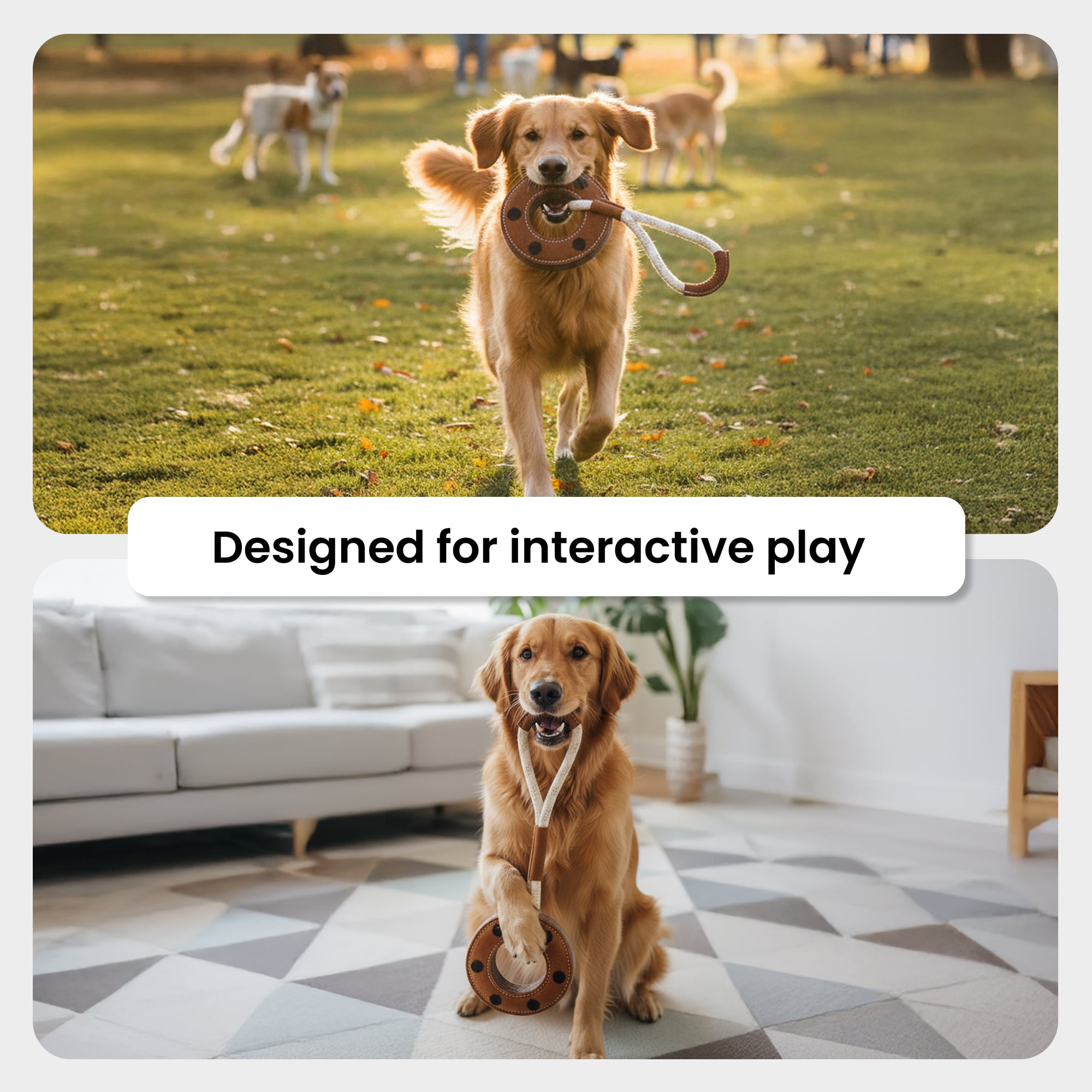 PetYupp Leather and Wool Rope Ring Dog Chew Toy