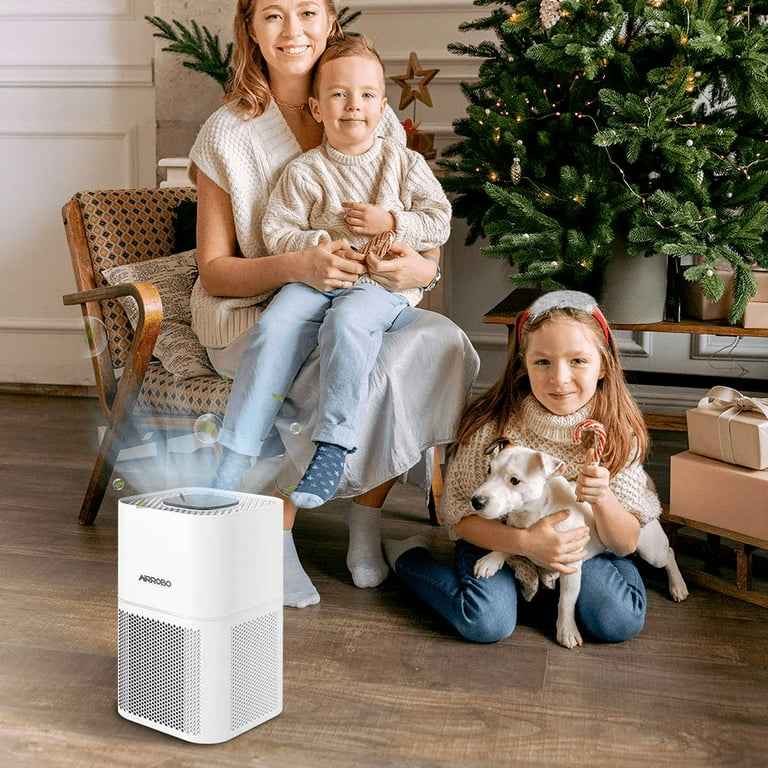 Air purifier for allergies walmart deals