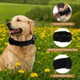 thumbnail image 2 of Collar para perros grandes Unique Bargains, collar ajustable de alta resistencia con asa, collar táctico para perros, collar de alta resistencia color negro M, 2 of 7