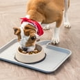 thumbnail image 2 of IRIS USA 4 Cup Slow Feeder Dog Bowl for Short Snouted Pets, Beige/Black, 2 of 4