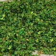thumbnail image 4 of Miniature Leaf Diorama for Model Railroad Micro Landscape Architecture Model , Green 56ml green, 4 of 8
