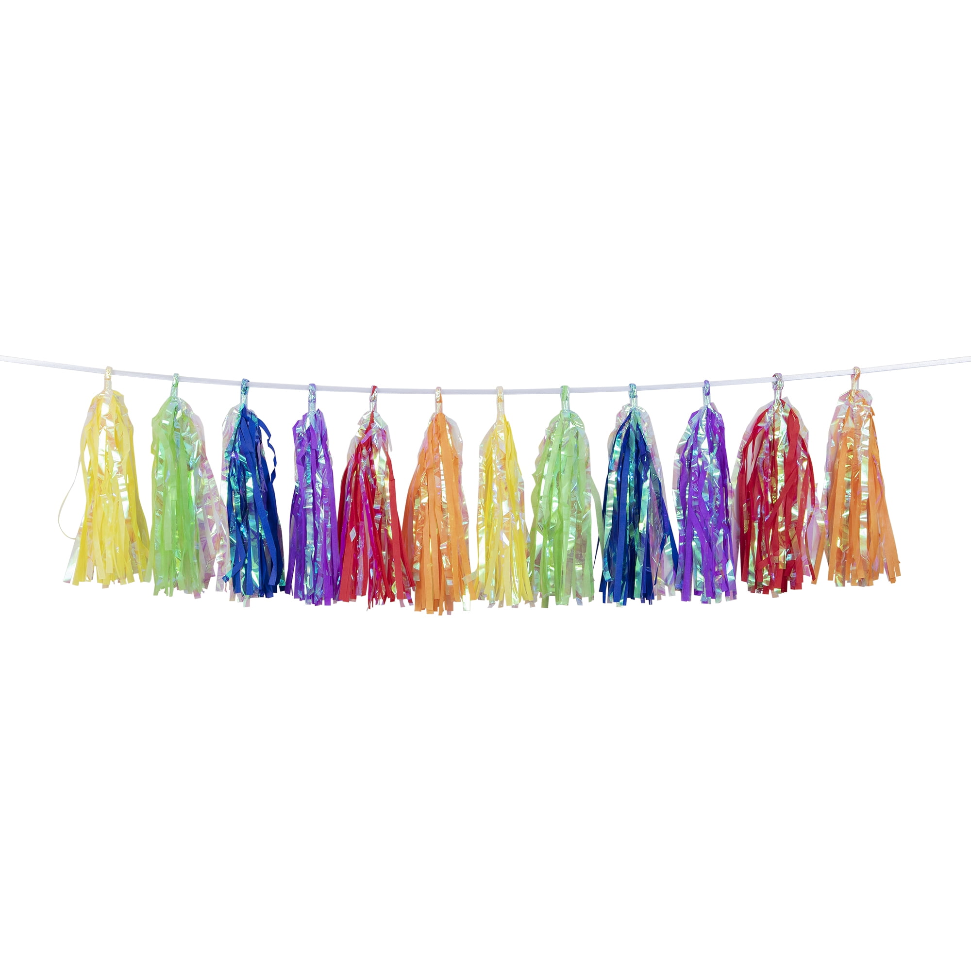 Way to Celebrate! Iridescent Multicolor Tassel Party Banner 9" x 12', 1 Ct