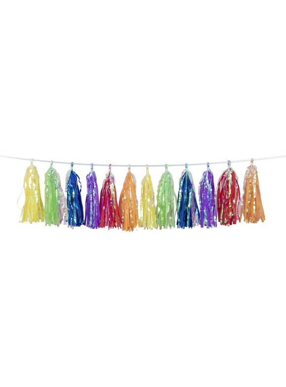 Way to Celebrate! Iridescent Multicolor Tassel Party Banner 9" x 12'