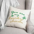 thumbnail image 3 of Creative Products Lucky Charm 18 x 18 Spun Poly Pillow, 3 of 3