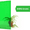 2092 Green, variant on BuyPlastic 2423 Red Transparent Colored Acrylic Plexiglass Sheet 3/16" x 12" x 12", Plastic Plexi Glass for Crafts, Art, and More