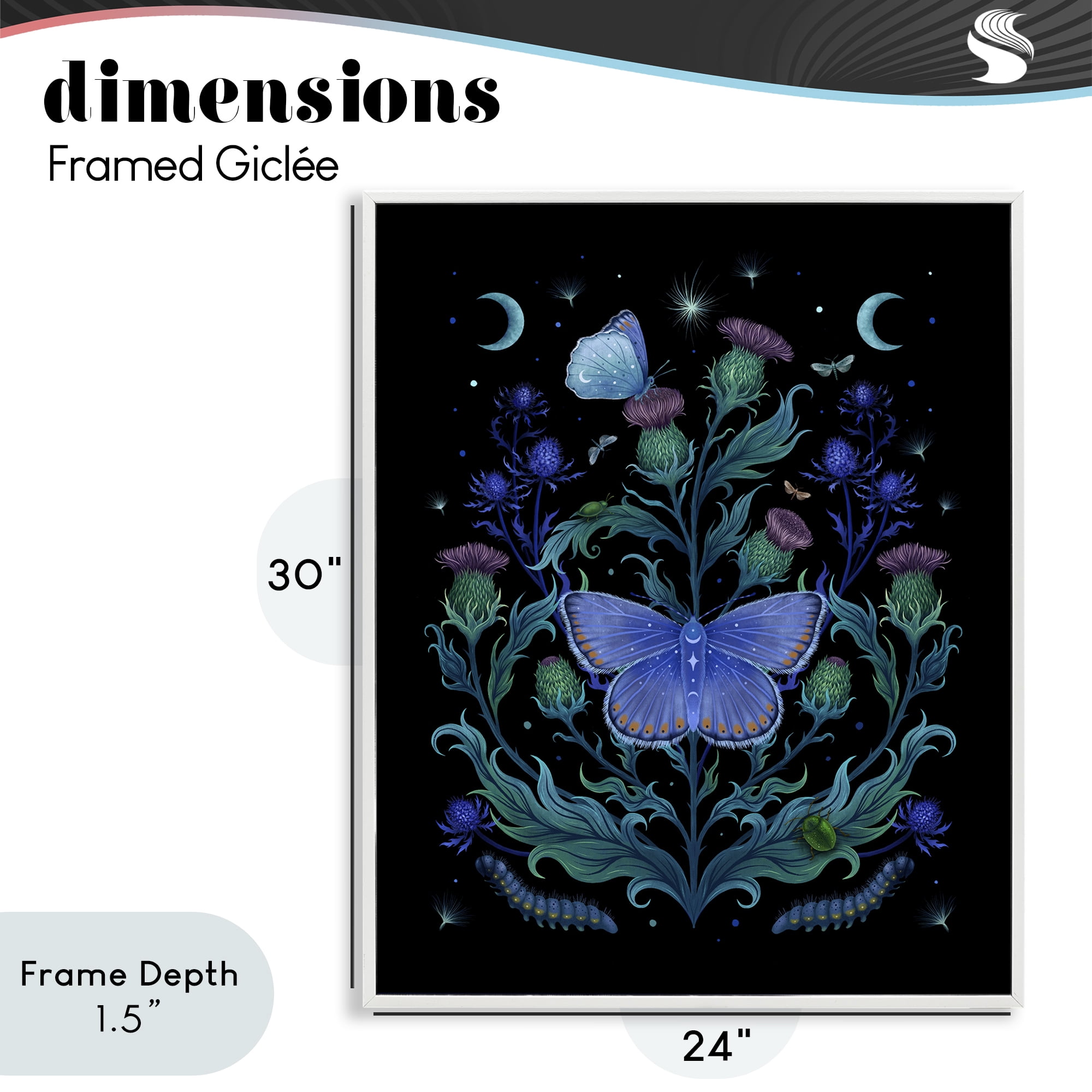 Stupell Industries Thistles & Insects at Night White Framed Giclee Art, design by Episodic Drawings