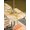 Gold, Amber, White, variant on Outdoor Tablecloth with Umbrella Hole & Zipper, Lemon Yellow Starfish Coastal Rectangle Tablecloth 54x80 Inch, Ocean Nautical Beach Coral Shell Patio Table Cover Waterproof Table Cloth for Picnic
