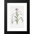 thumbnail image 2 of William Rickatson Dykes 17x24 Black Modern Framed Museum Art Print Titled - Iris Warleyensis (1913), 2 of 5