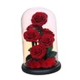 thumbnail image 1 of Regalos del día de San Valentín, decoración de San Valentín, regalos de cumpleaños, manualidades, rosa eterna en cúpula de cristal, regalos de flores , estilo c BLESIY Rosa en la cúpula, 1 of 8
