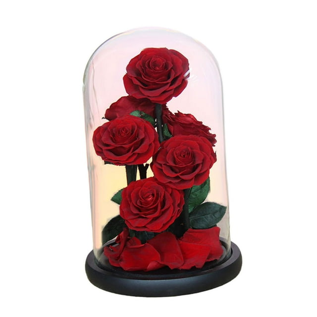 Regalos del Día de San Valentín para él Rosa eterna en cúpula de cristal, regalos de cumpleaños, decoración del Día de San Valentín, rosas, regalos de , estilo c Macarena Rosa en la cúpula