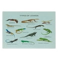 thumbnail image 3 of Reptile Cutting Board, Lizard Family Design on Plain Background Prehistoric Camouflage Exotic Creatures, Decorative Tempered Glass Cutting and Serving Board, Small Size, Multicolor, by Ambesonne, 3 of 5