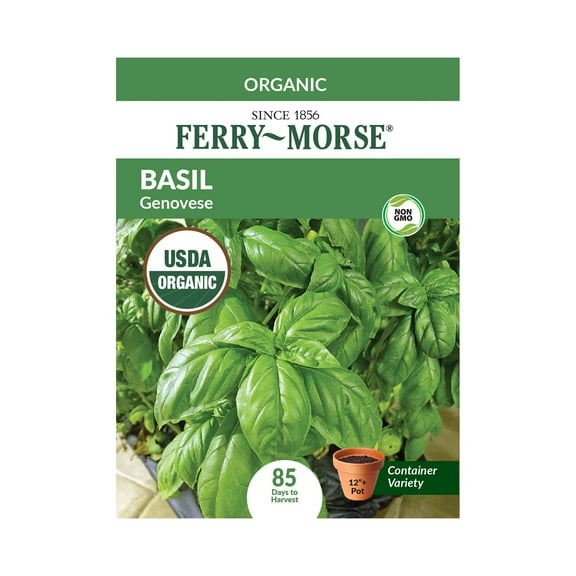 Ferry-Morse 145MG Organic Basil Genovese Annual Herb Seeds, Full Sun