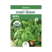 Ferry-Morse Organic 145MG Basil Genovese Herb Plant Seeds Full Sun