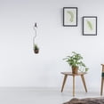 thumbnail image 1 of unbranded 1Ud Gan Exhibidor De Planta De Aire En Hierro Negro Para Uso En Casa, 1 of 8