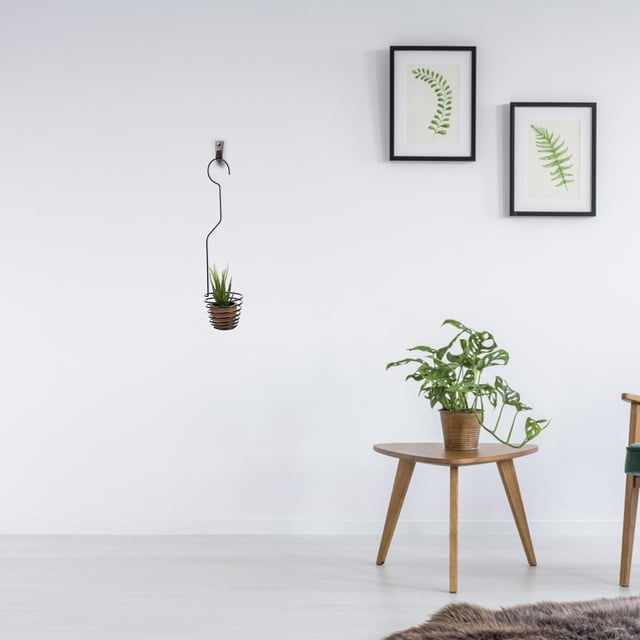 unbranded 1Ud Gan Exhibidor De Planta De Aire En Hierro Negro Para Uso En Casa