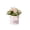F, variant on Twfbrm Artificial Flowers with Ceramic Vase, Lifelike Faux Silk Flowers Arrangements, UV Resistant Real Touch Potted Plants Table Centerpieces Spring Decor for Office, Living Room, Bedroom, Wedding