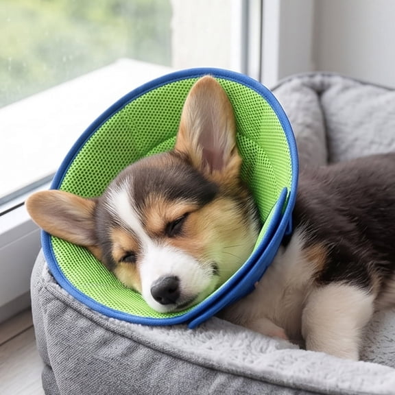 Breathable Mesh Dog Cone Small Breed Elizabethan Collar Soft Padded Cuff Pet Recovery Collar for Chewing Lick Scratch Protection Post Surgery Grooming Care, S M L XL Sizes, Plastic, Style L