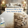 thumbnail image 3 of Black diamond stoneworks carpet and upholstery cleaner: this fast acting deep cleaning spot and stain remover spray also works great on rugs, couches, and car seats.(1-Quart), 3 of 7