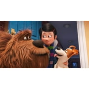 The Secret Life of Pets (4K Ultra HD, Blu-ray)