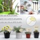 thumbnail image 2 of Polos de coco para plantas de escalada, paquete de 6 plantas de tótem de Coco de 15,7 pulgadas kaili Sencillez, 2 of 2
