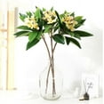 thumbnail image 5 of 35.5 Inch Artificial Flowers Artificial Frangipani Flower Stems Lifelike Real Touch Artificial Plumeria Flowers for Home Party Wedding Bouquet Home Decoration (Yellow), 5 of 5