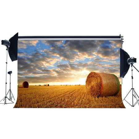 Rolled Backdrops GreenDecor Polyester 7x5ft Photography Backdrop Colorful Sky Nature Harvest Scene Wheat Roll Straw Bales on Farmland Haystack Backdrops for Children Adults Farm ()
