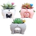 thumbnail image 1 of Cute Cat Pig Dog Succulent Plant Container Resin Flower Pot Bonsai Ornament, 1 of 8