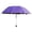 Purple, variant on Travel Parasol Folding Rain Windproof Umbrella Portable Sun Compact Outdoor Gear Pink