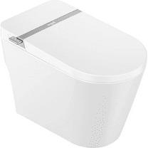 Mint One Intelligent Toilet