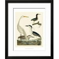 thumbnail image 2 of Heron Family II, Animals Framed Art Print Wall Art by A^ Wilson Sold by Art.Com, 2 of 6