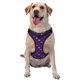 thumbnail image 1 of Fotbe Purple Mardi Gras Arnés para Perro con Estampado –Chaleco Ajustable Acolchado con Asa de Control para Perros Grandes-Large, 1 of 6