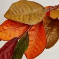 thumbnail image 2 of Autumn Artificial Magnolia Leaf Garland by Factory Direct Craft, 2 of 4