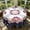 Multicolor#24228, variant on Round Polyester Tablecloth, Waterproof Stain Resistant Reusable Washable Table Cover for Independence Day Party, Multicolor, 152 cm