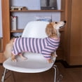 thumbnail image 4 of HQREA Dachshund Dog Shirt Onesie Striped Lightweight Comfy Jumpsuit for Mini Dachshund, 4 of 6