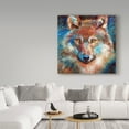 thumbnail image 3 of Trademark Fine Art 'Timber Wolf Abstract' Canvas Art by Marcia Baldwin, 3 of 3