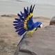thumbnail image 2 of Juguete de decoración de jardín de estatuil de taxidermia de de loro realista de pájaro artificial Parrot Blue Sunnimix Decoración de pájaro artificial, 2 of 6