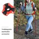 thumbnail image 3 of CHICHUMID 4Ud Canastas Para Bastones De Caminata Con Tecnología Antideslizante Y Alta Visibilidad, 3 of 6