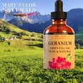 thumbnail image 3 of Geranium Essential Oil (1 oz), Premium Therapeutic Grade, 100% Pure and Natural, Perfect for Aromatherapy, Relaxation, Improved Mood and Much More by Mary Tylor Naturals, 3 of 4
