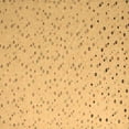 thumbnail image 1 of Ahgly Company Indoor Square Abstract Brown Modern Area Rugs, 4' Square, 1 of 4